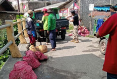 Disentil Wagub, DLH Kota Baru Gerak 