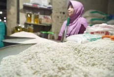  Pemerintah Resmi Naikkan HET Beras Medium