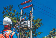 PLN Setor Dividen Rp3,09 Triliun. Kementerian BUMN Dukung PLN Lanjutkan Transformasi Bisnis