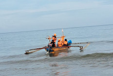 Empat Hari, Nelayan Terjatuh di Laut Pesbar Belum Ditemukan 