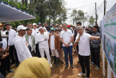 Dukung Pelestarian Alam dan Daerah Resapan Air, PTPN I Tanam Ribuan Pohon di Puncak Bogor