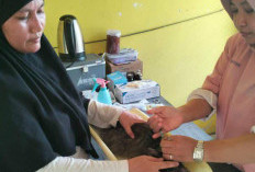 180 Hewan di Mesuji Dapat Vaksin Rabies 