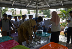 Makan Bergizi Gratis Hanya Berjalan di 3 Kabupaten