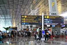  Penumpang Internasional Wajib Isi All Indonesia