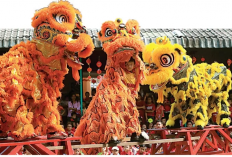 Barongsai Terbagi Dua Jenis, Tarian Singa Utara dan Tarian Singa Selatan