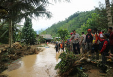 Dirambah 4.517 KK, 11 Ribu Hektare Hutan Konservasi TNBBS Berubah Jadi Kebun Kopi