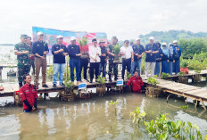 PTPN I Regional 7 Tanam 1.000 Mangrove di Teluk Pandan dalam Rangka HUT Pertama