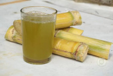  Manfaat Air Tebu untuk Kesehatan Tubuh