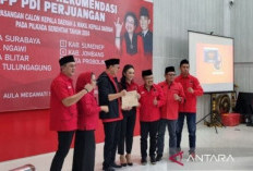 Krisdayanti Dicalonkan PDIP sebagai Wali Kota Batu dalam Pilkada 2024