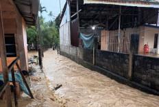 Banjir dan Longsor di Sumatera Tewaskan 303 Jiwa, BNPB Kerahkan Alutsista dan Fokuskan Operasi SAR