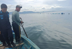Pagar Laut di Pesawaran Tak Miliki Izin?