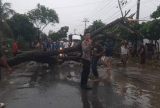 Angin Kencang Rusak 2 Rumah di Pringsewu 