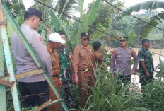 Jembatan Gantung di Pekon Yogyakarta Rusak Diterjang Banjir