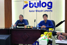 Bulog Lampung Lampaui Target Serapan Gabah 2025, Capai 202.564 Ton Setara Beras