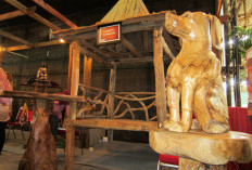  RI Jual Furnitur Rp50,6 Miliar ke Korsel