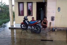 Masuki Musim Hujan, BPBD Mesuji Petakan Wilayah Rawan Banjir