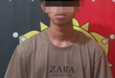 Peristiwa Pencabulan di Waykanan Terungkap dari Video Asusila