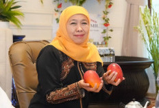 Gubernur Jatim Khofifah Dijadwalkan Diperiksa KPK di Polda, Terkait Kasus Hibah Pokmas