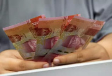  Penawaran Lelang Sukuk yang Masuk Rp33,12 T