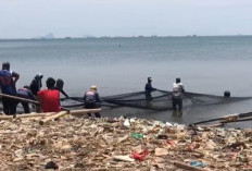 Meski Sudah Diberi Jaminan, Banyak Nelayan di Bandar Lampung Enggan Lanjutkan Asuransi