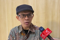 Sukses Pemilu dan Pilkada Serentak 2024 Perkuat Konsolidasi Demokrasi Indonesia