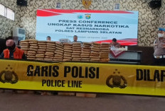 Polisi Bekuk Kurir Ganja 90 Kg di Pelabuhan Bakauheni