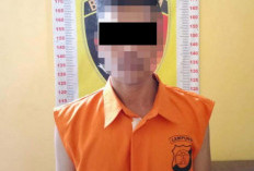 Pelaku Curi HP iPhone Milik Wisatawan, Ditangkap saat Jual di Facebook 
