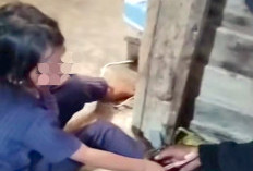 Bocah 6 Tahun di Mesuji Dirantai Orang Tuanya