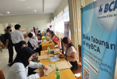 Pengangguran Lampung Turun, Jumlah Angkatan Kerja Lampung Februari 2025 Capai 5,09 Juta Orang
