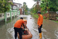 Cuaca ekstrim, Waspada Banjir dan Pohon Tumbang 