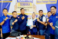 NasDem Usung Calon Potensi Menang Tinggi