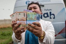  Investasi Internasional Indonesia Turun