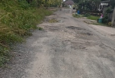 Truk Over Tonase Rusak Jalan Penghubung Blambanganumpu - Lembasung 