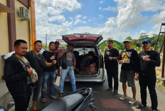 Pelaku Pembunuhan dan Pemerkosaan Sadis Ditangkap Tim Gabungan di Pringsewu 