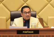 Ketua Komisi II DPR Minta Kasus Jet Pribadi KPU Jadi Pelajaran Etik dan Pengelolaan Anggaran