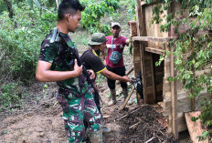 Sudah Sebulan Berlalu, Harimau Belum Tertangkap