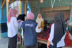 Harga Cabai di Pesbar Masih Tinggi