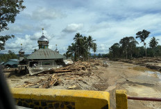Daniel Johan Soroti Temuan Gelondongan Kayu Terbawa Banjir di Sumatera, Desak Tim Investigasi Dibentuk