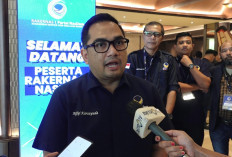 NasDem Target Tembus Tiga Besar Pemilu 2029, Fokus Perluas Basis Dukungan