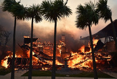 Kebakaran Hutan di Los Angeles Capai Kerugian Fantastis, Tembus Rp2.430 Triliun