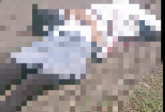 Hendak Menyalip Siswi SMA Lampura Tewas Tertabrak Truk, Sopir Melarikan Diri