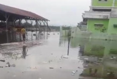 Waspada! Banjir Rob Intai Perairan Lampung 