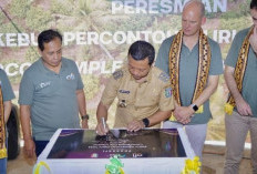 Pemkab Pringsewu Launching Kebun Percontohan Kakao 