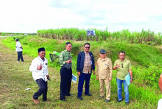 Staf Presiden Turun, HGU PT BNIL Ditinjau