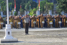 Pemkab Mesuji Bakal Buka 63 Formasi CPNS