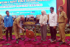 Pertahkindo Lampung Diharapkan Menjadi Lebih Profesional