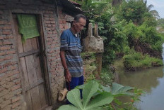 Erosi Dinding Way Laay Ikut Gerus Rumah Warga 