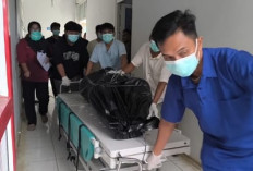 Banjir Aceh dan Sumut Telan Puluhan Korban Jiwa