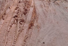 Jalan Tajab–Serupa Indah Rusak Parah, Banyak Truk Terjebak 