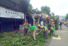 Pohon Tunbang di Bandar Lampung Rusak Empat Ruko